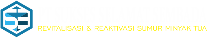 Logo PT S3